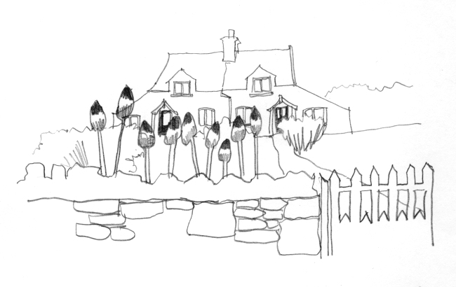 Pencil-line drawing of paired cottages with tall flowers